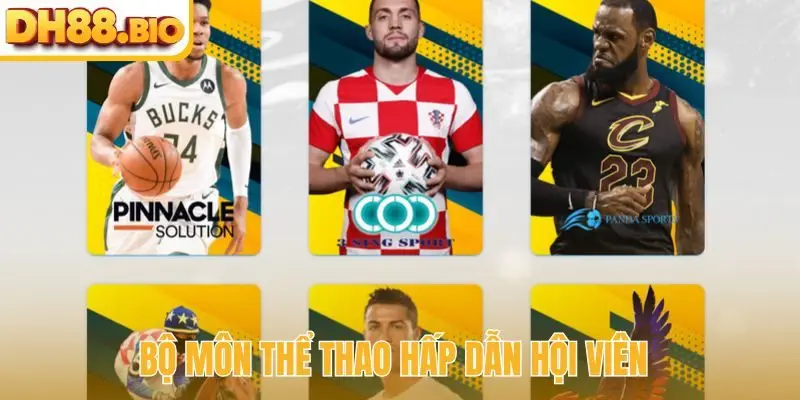 Bộ môn thể thao hấp dẫn hội viên