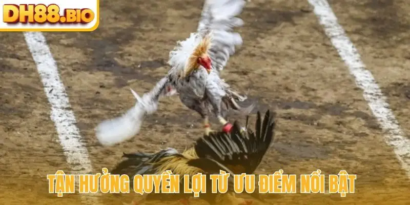 Tận hưởng quyền lợi từ ưu điểm nổi bật