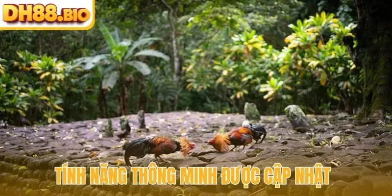 Tính năng thông minh được cập nhật